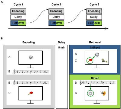 Musical expertise shapes visual-melodic memory integration